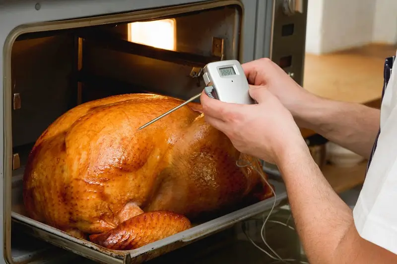 Where To Put Meat Thermometer In A Turkey