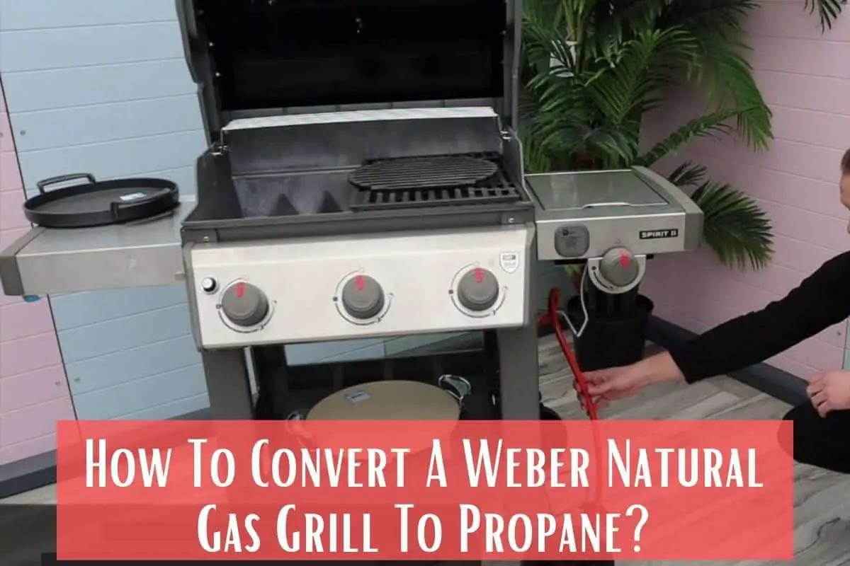 How To Convert A Weber Natural Gas Grill To Propane? Meat Answers